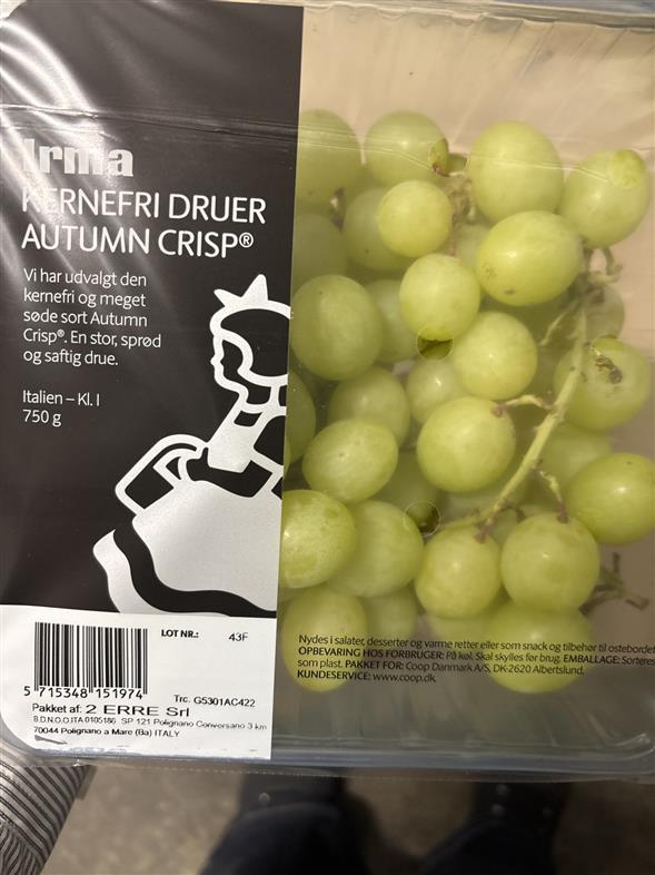 AUTUM CRISP DRUER