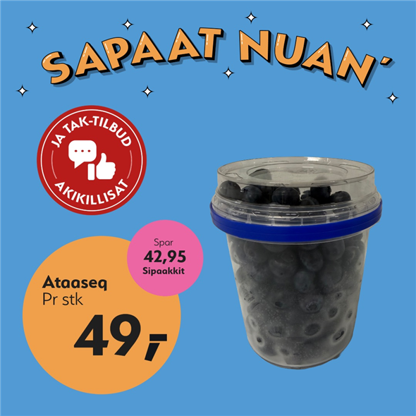 Blåbær i spand